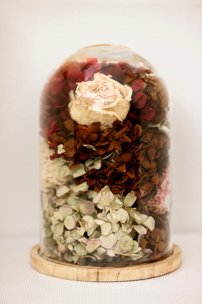 Cúpula con hortensias secas y rosas - El Taller de Lucia