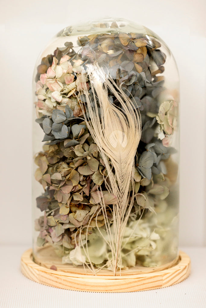 Cúpula con hortensias secas y pluma - El Taller de Lucia