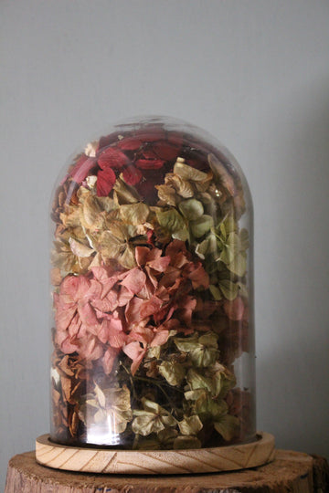 Cúpula con hortensias secas y preservadas - El Taller de Lucia