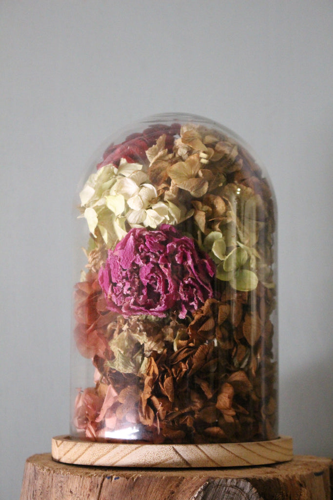 Cúpula con hortensias secas y preservadas - El Taller de Lucia