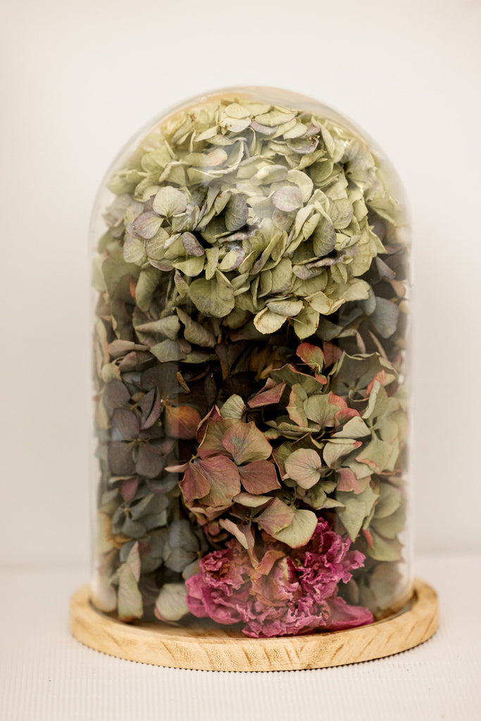 Cúpula con hortensias secas - El Taller de Lucia